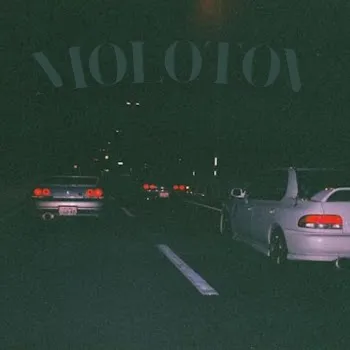 Evvortex